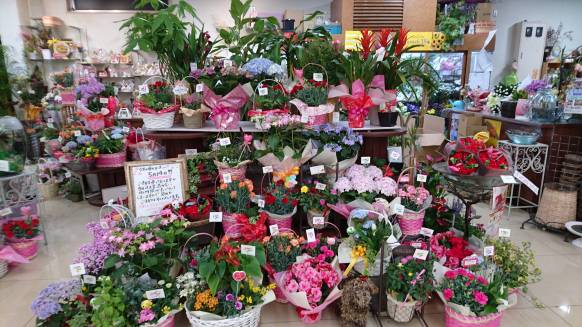 「タカオフラワーブティック」　（広島県尾道市）の花屋店舗写真2